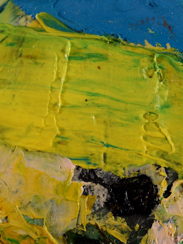 Flori 19_detaliu 2_ulei pe panza_cu rama_38X43cm